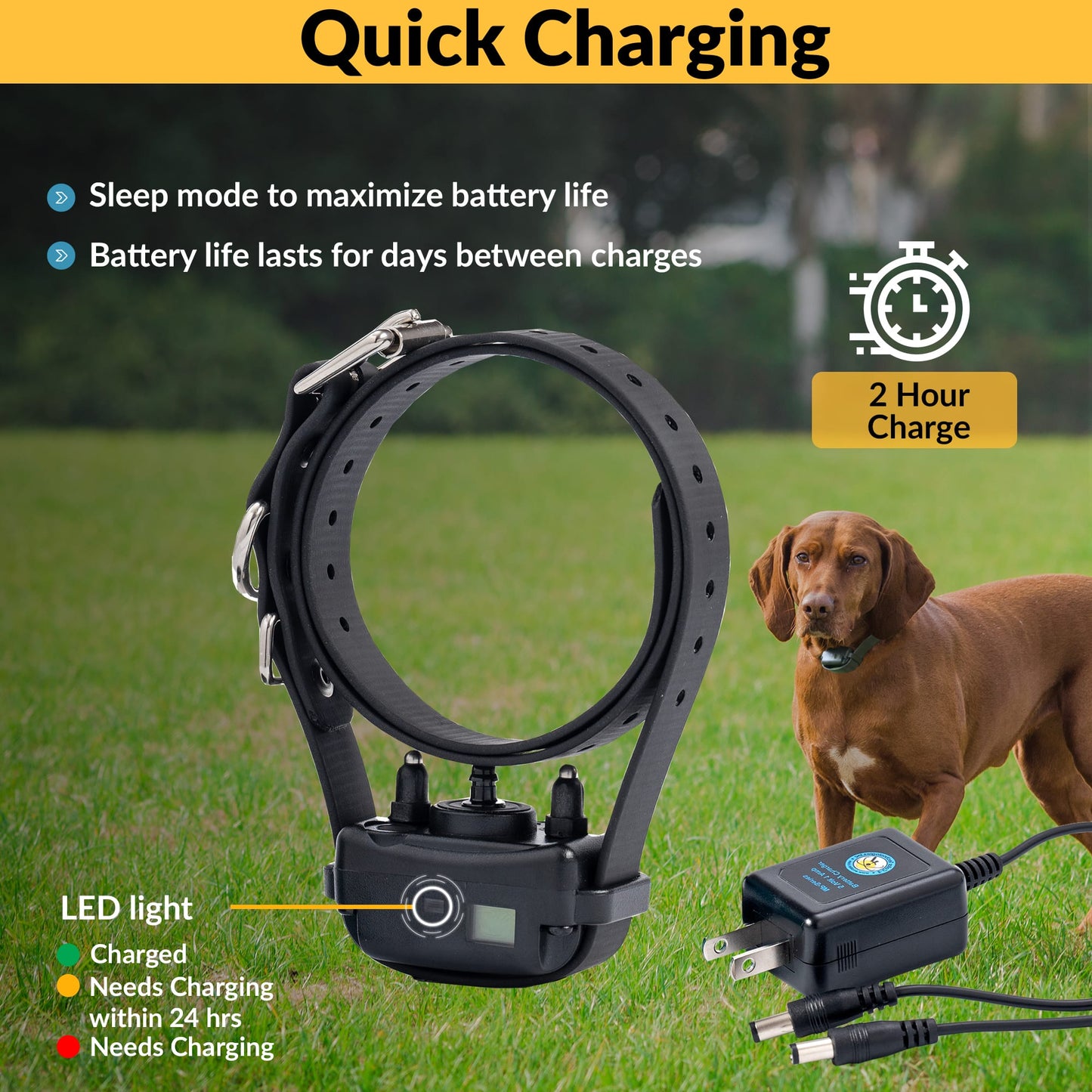 E-Collar Technologies BP-504 Barkless Pro Anti-Bark Collar