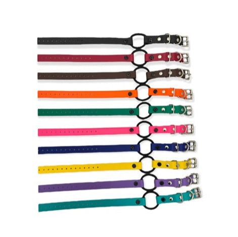 E-Collar Technologies Biothane Bungee Collar | Vision K9 Inc