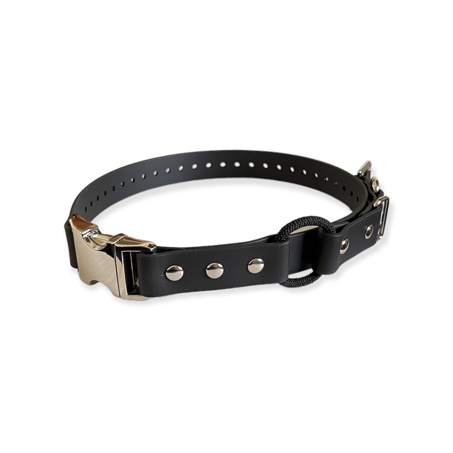 E-Collar Technologies Biothane Quick Snap Bungee Collar | Vision K9 Inc