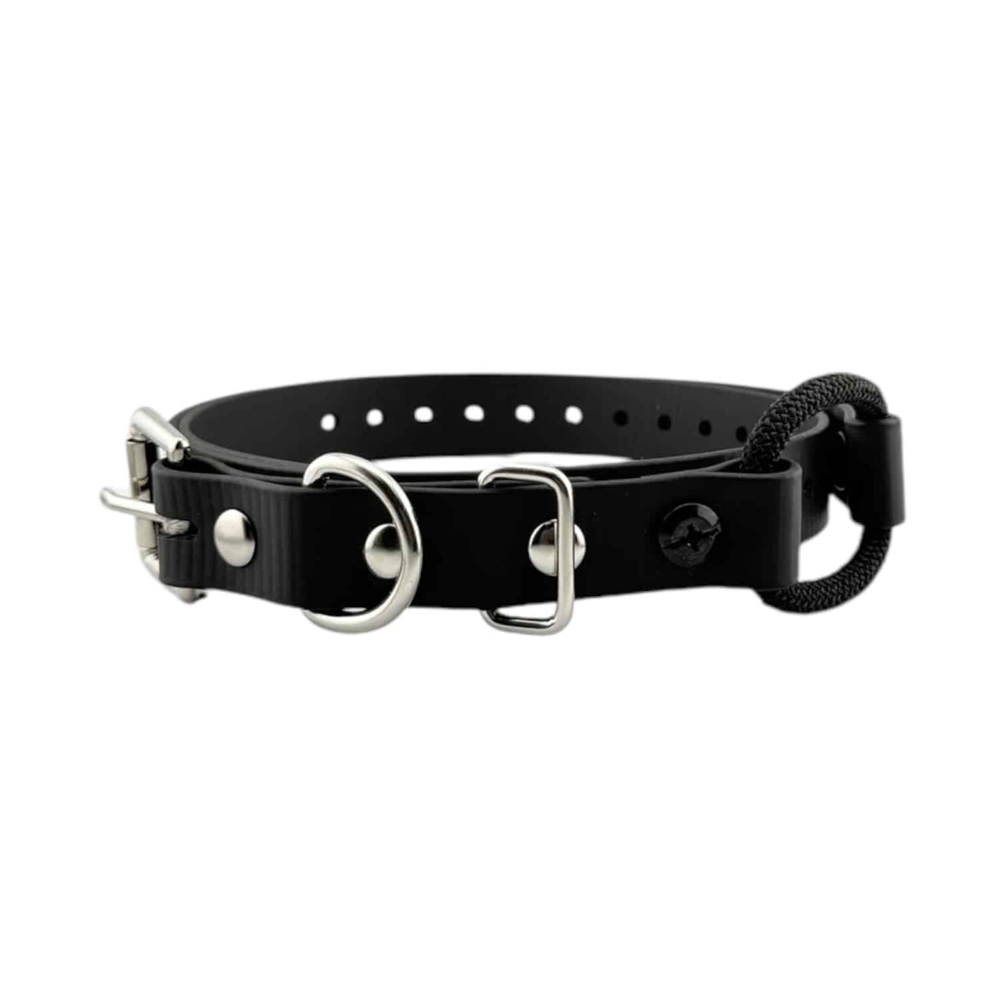 E-Collar Technologies Biothane Bungee Collar | Vision K9 Inc