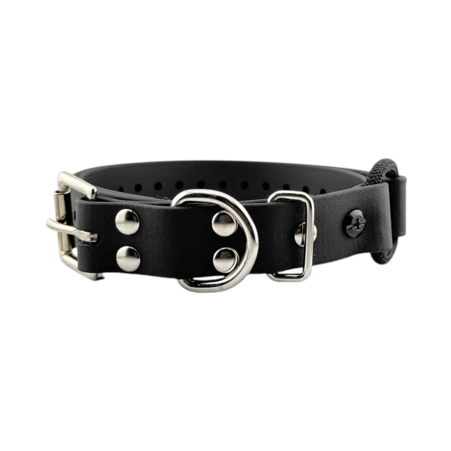 E-Collar Technologies 1" Bungee Collar (33" Length)