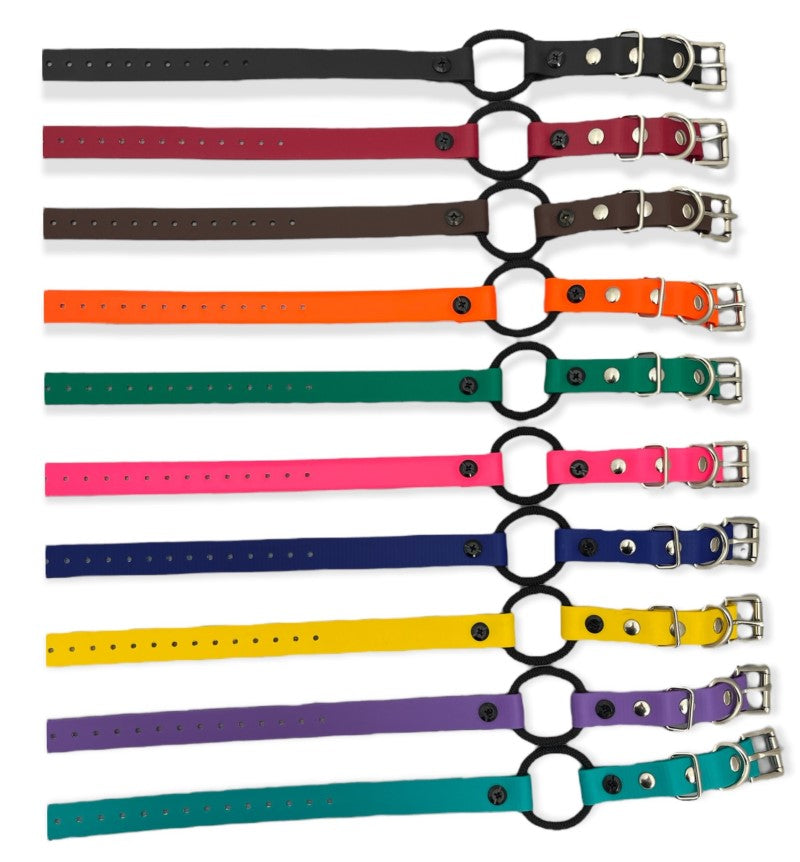 E-Collar Technologies 3/4" Bungee Collar (33" Length)