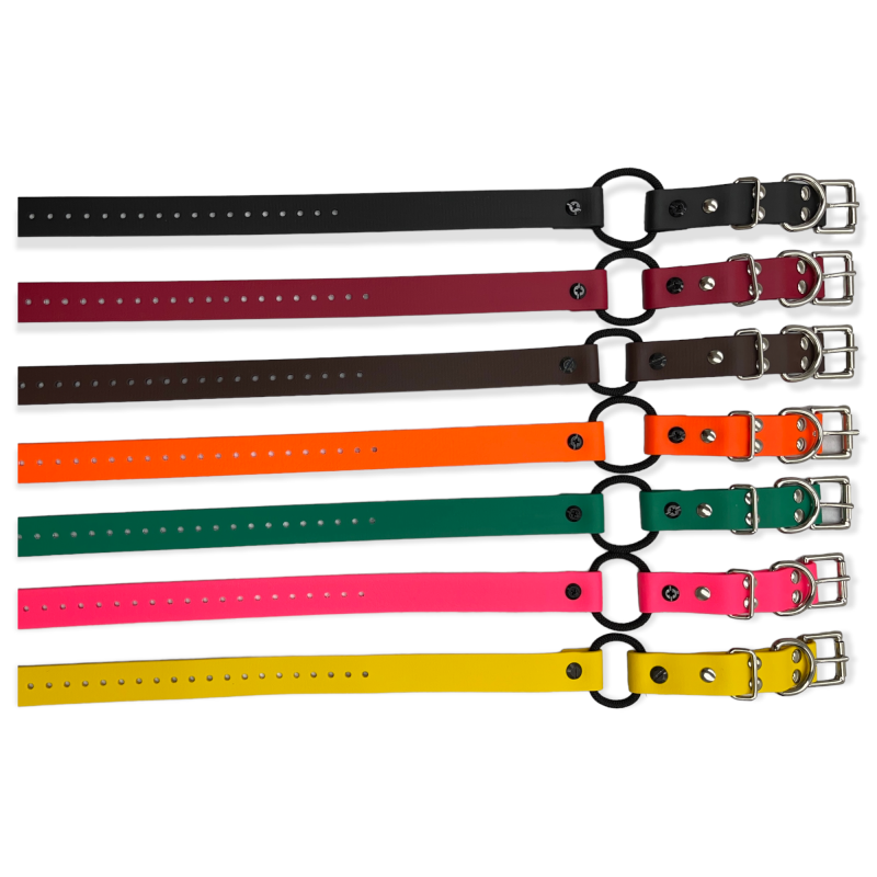 E-Collar Technologies Biothane Bungee Collar | Vision K9 Inc