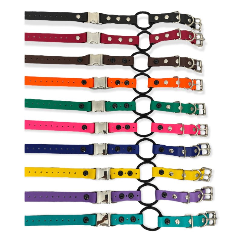 E-Collar Technologies Biothane Quick Snap MINI Bungee Collar | Vision K9 Inc