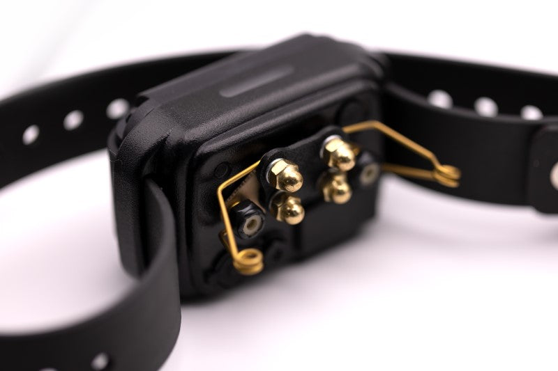 E-Collar Technologies Winged Soft Comfort Pad | Vision K9 Inc
