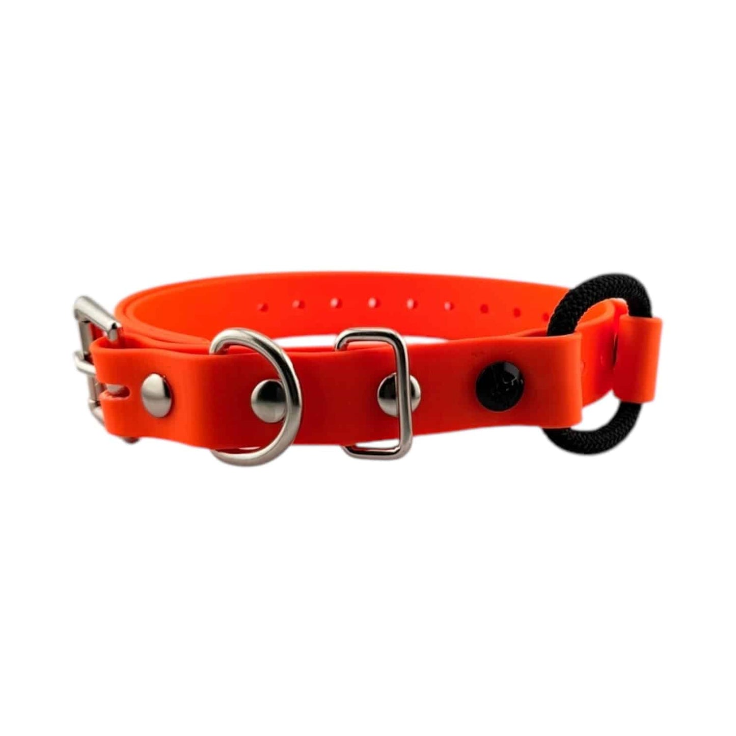 E-Collar Technologies 3/4" Bungee Collar (33" Length)