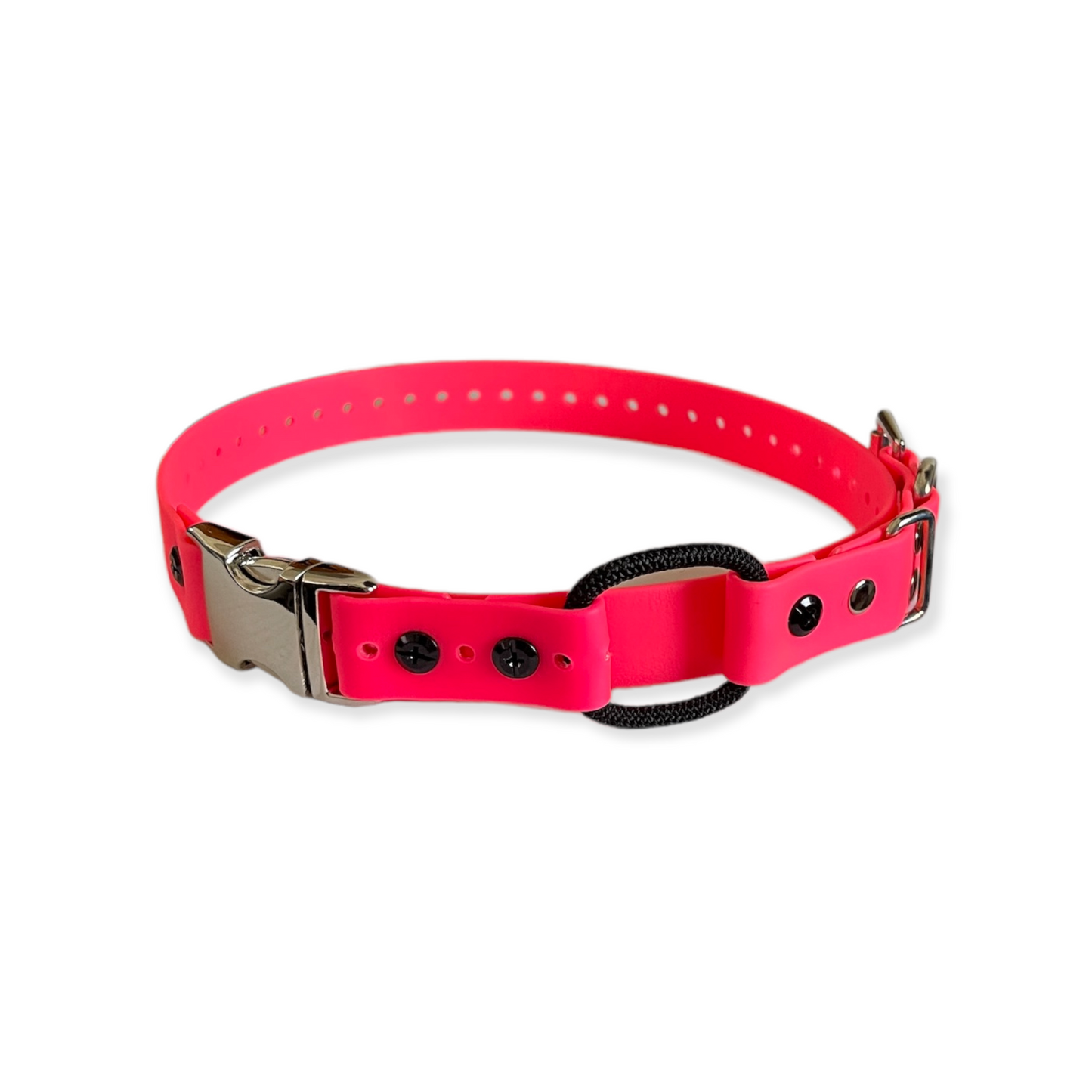 E-Collar Technologies Biothane Quick Snap Bungee Collar | Vision K9 Inc