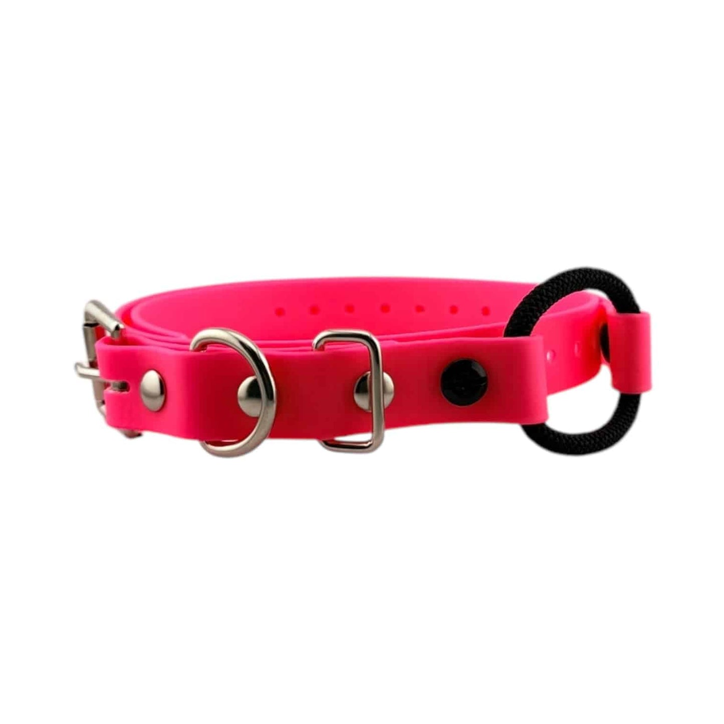E-Collar Technologies 3/4" Bungee Collar (33" Length)