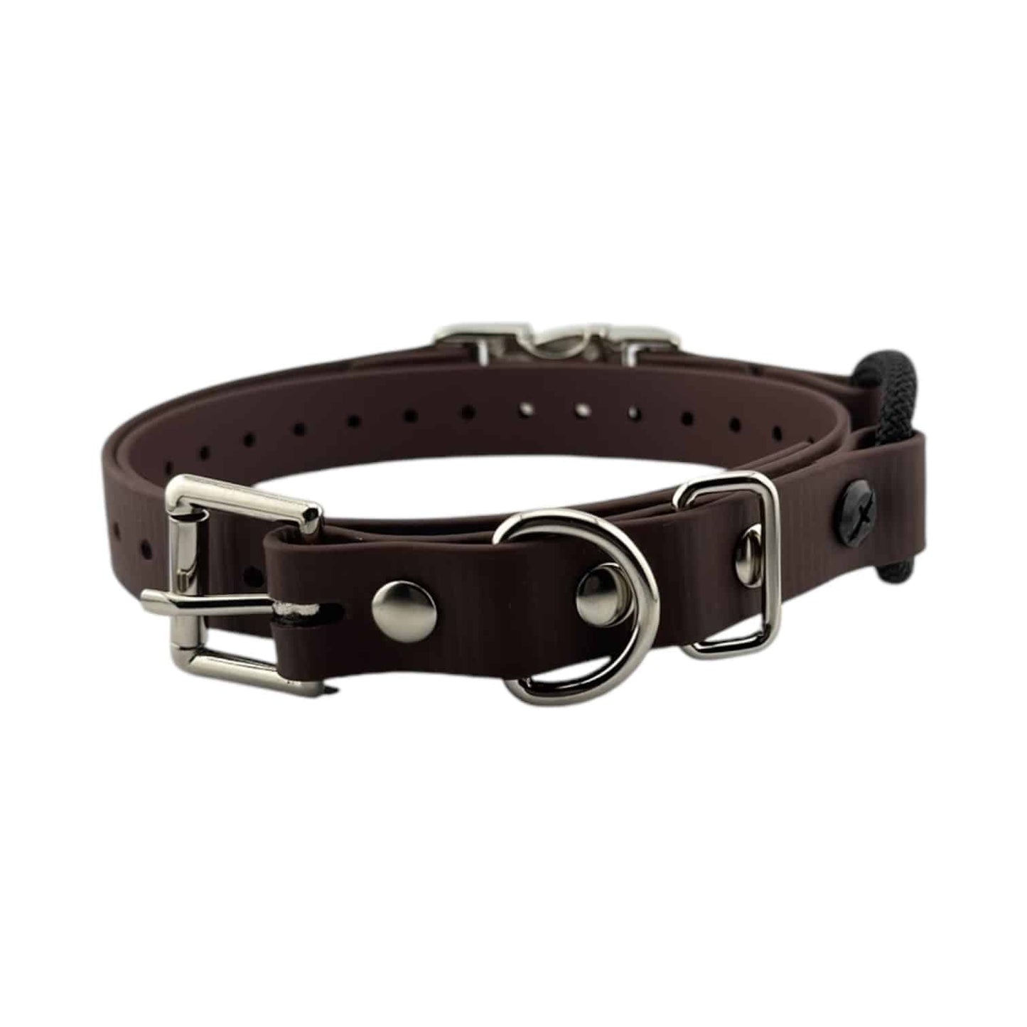 E-Collar Technologies Biothane Quick Snap Bungee Collar | Vision K9 Inc