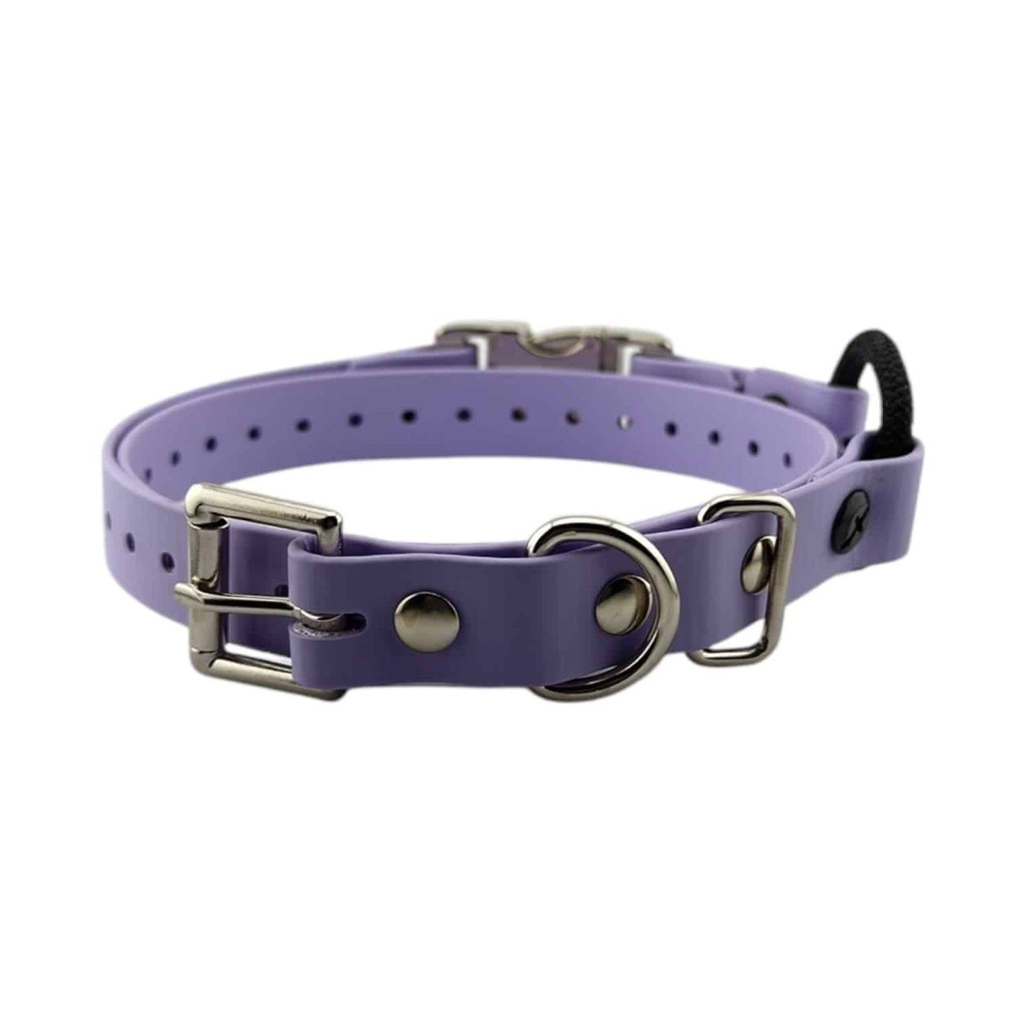 E-Collar Technologies Biothane Quick Snap Bungee Collar | Vision K9 Inc