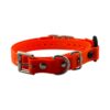 E-Collar Technologies Biothane Quick Snap Bungee Collar | Vision K9 Inc