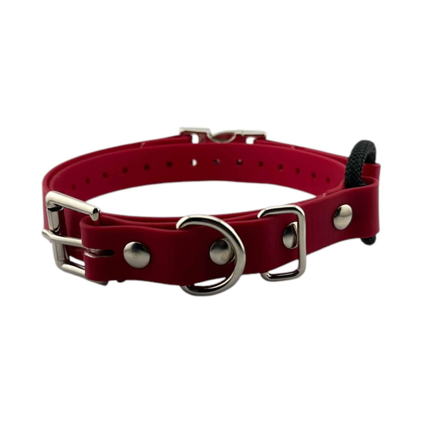 E-Collar Technologies Biothane Quick Snap Bungee Collar | Vision K9 Inc