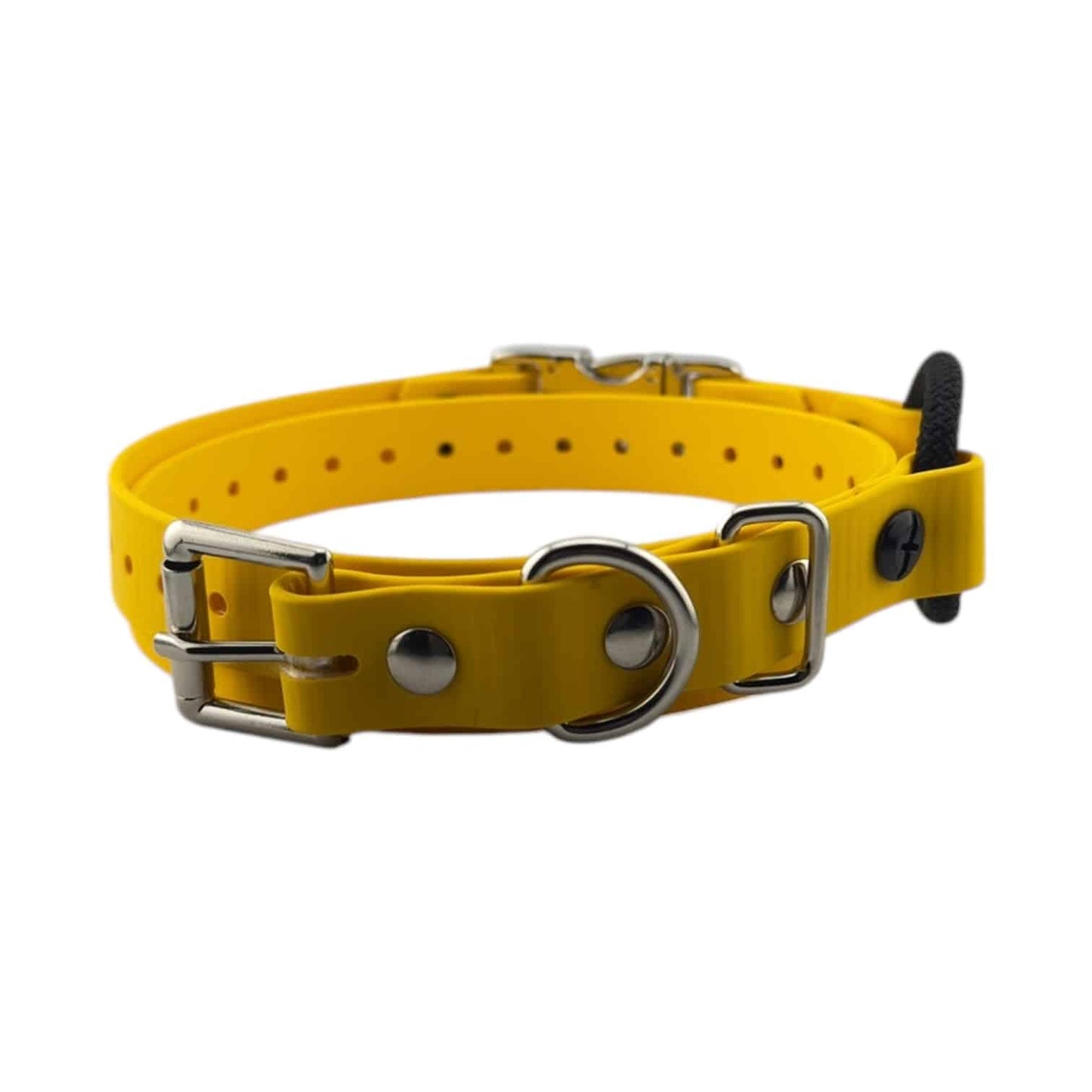 E-Collar Technologies Biothane Quick Snap Bungee Collar | Vision K9 Inc