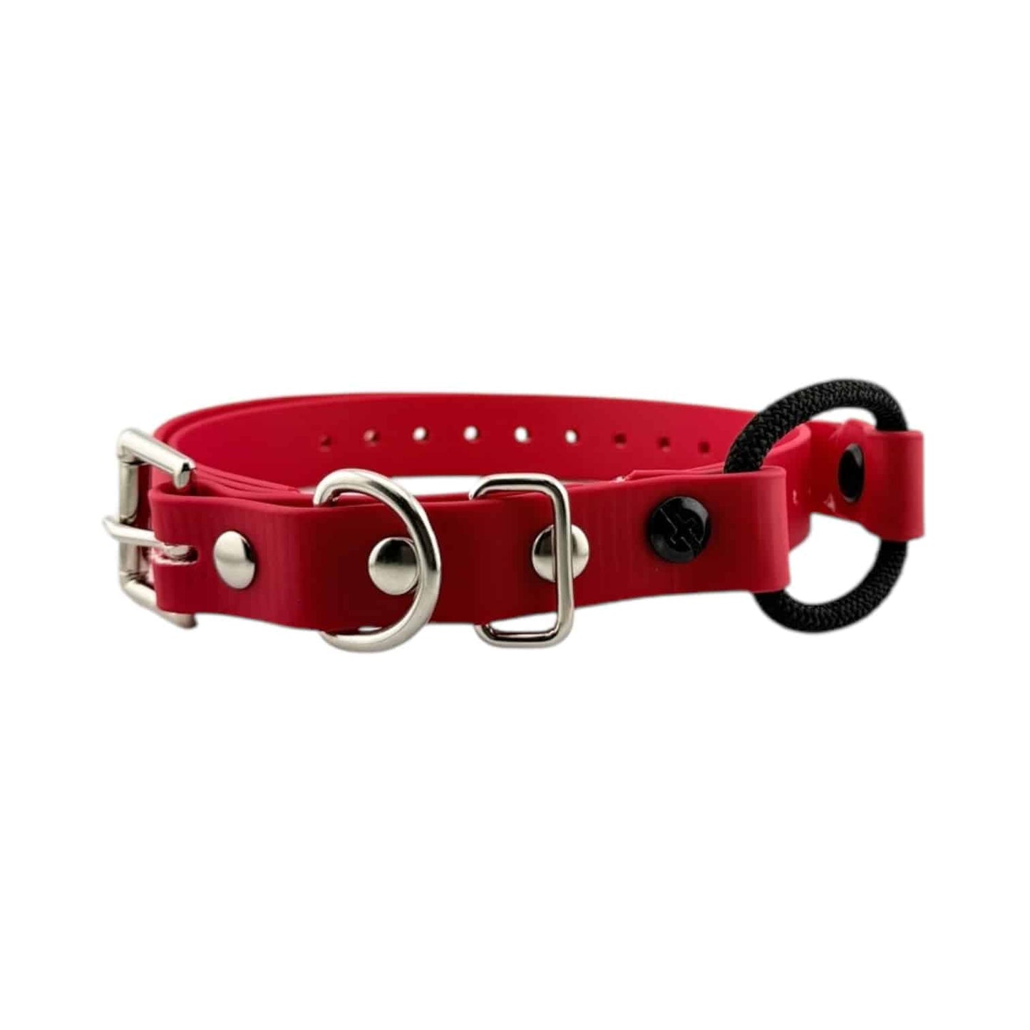E-Collar Technologies Biothane Bungee Collar | Vision K9 Inc