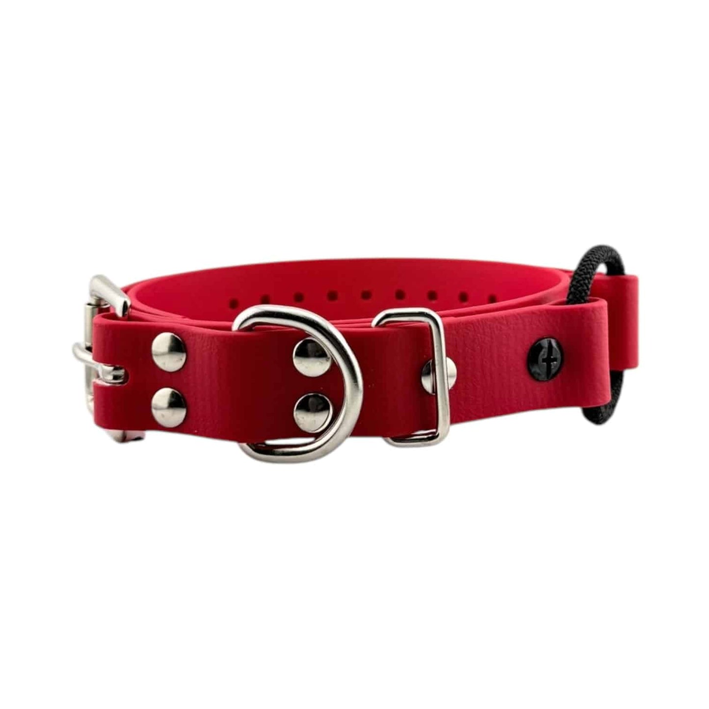 E-Collar Technologies 1" Bungee Collar (33" Length)