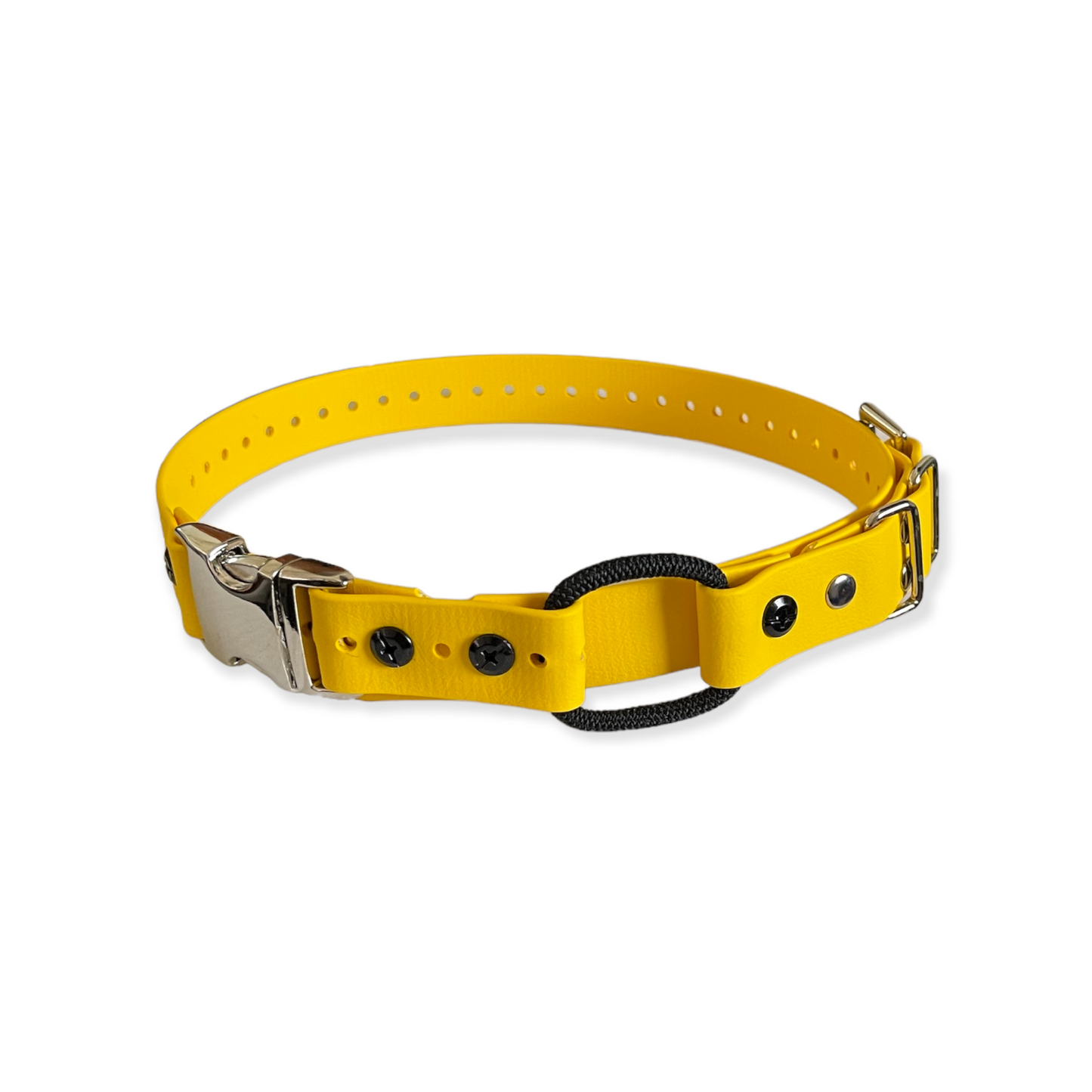 E-Collar Technologies Biothane Quick Snap Bungee Collar | Vision K9 Inc