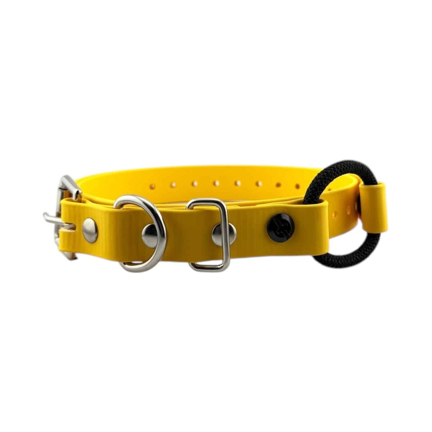 E-Collar Technologies 3/4" Bungee Collar (33" Length)