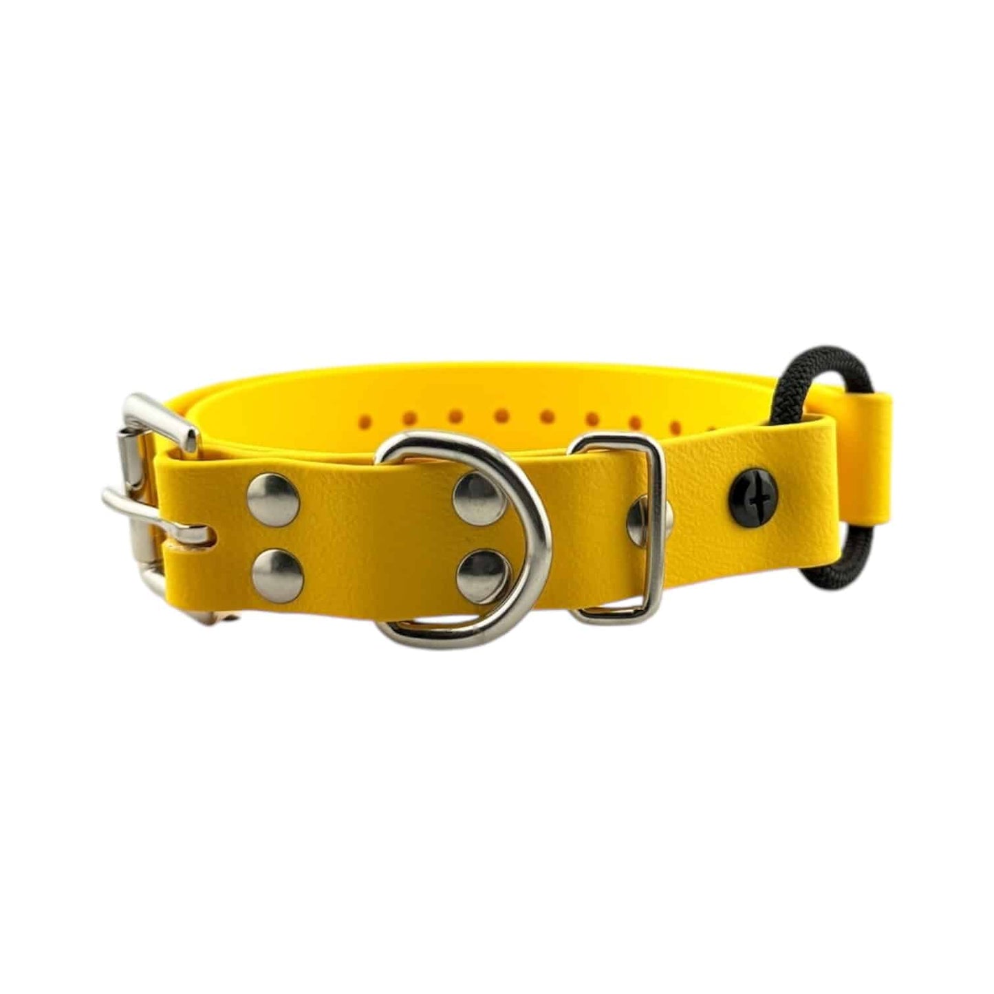 E-Collar Technologies 1" Bungee Collar (33" Length)