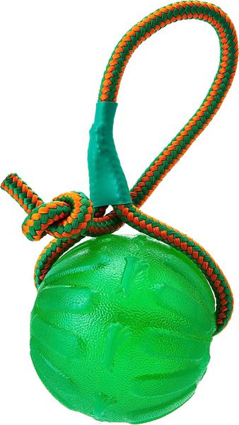 Starmark Swing & Fling Chew Ball on a Rope