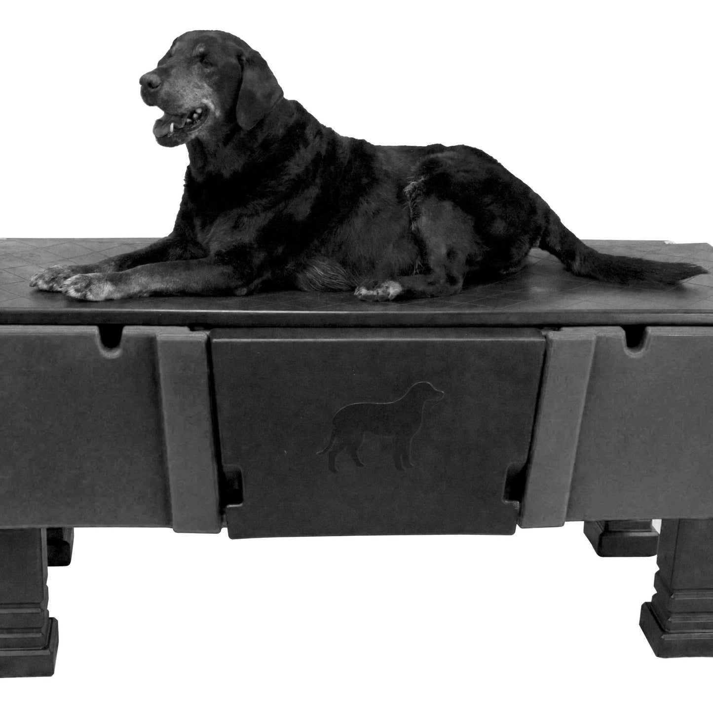 Dakota Groom-Pro Pet Tub