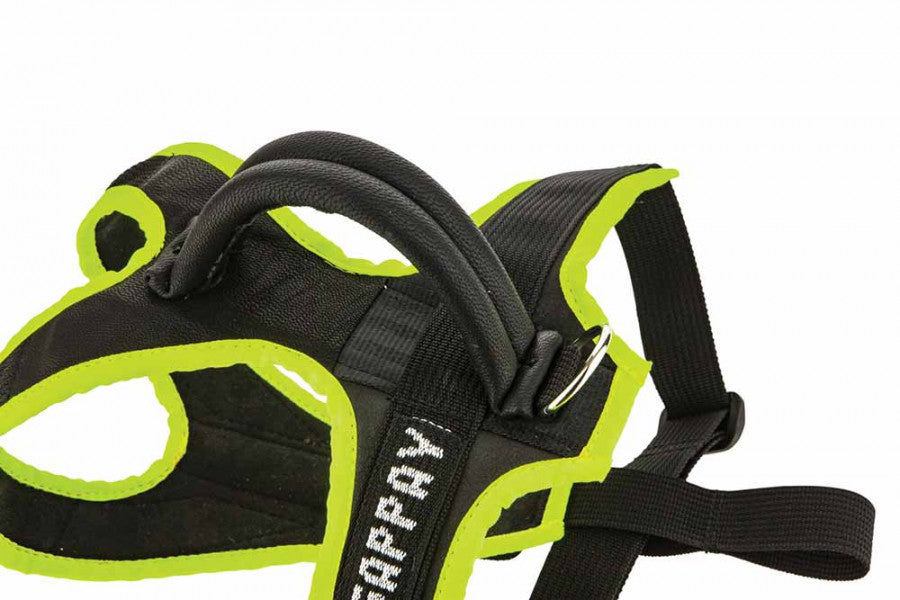Gappay Puppy Harness