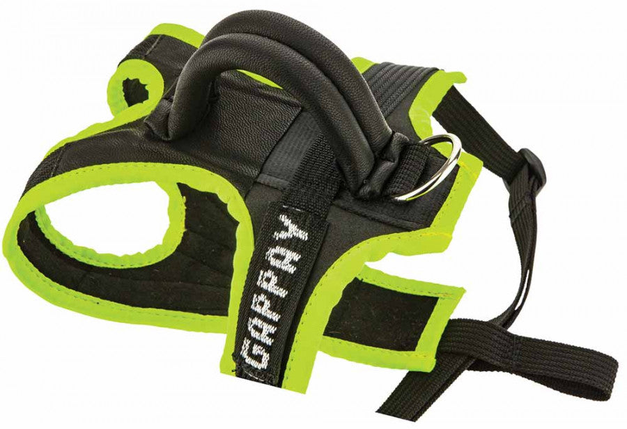 Gappay Puppy Harness
