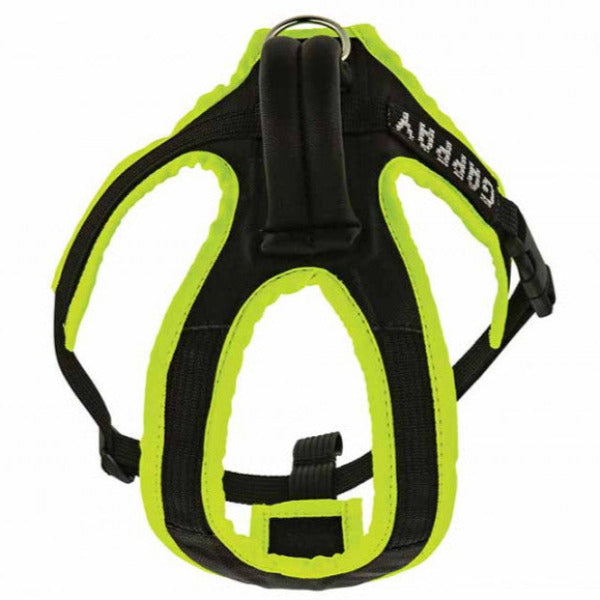 Gappay Puppy Harness
