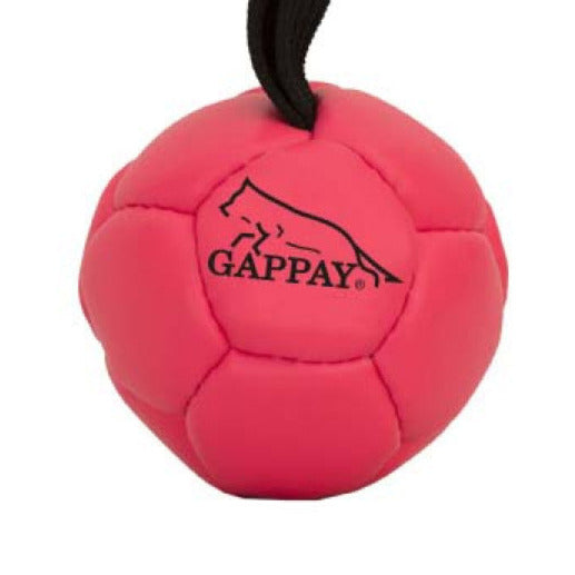 Gappay Leather Soccer Ball - Small