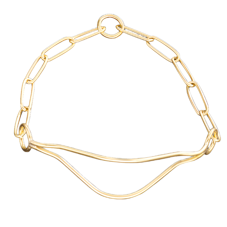 Sprenger Show Collar - Polished Brass II