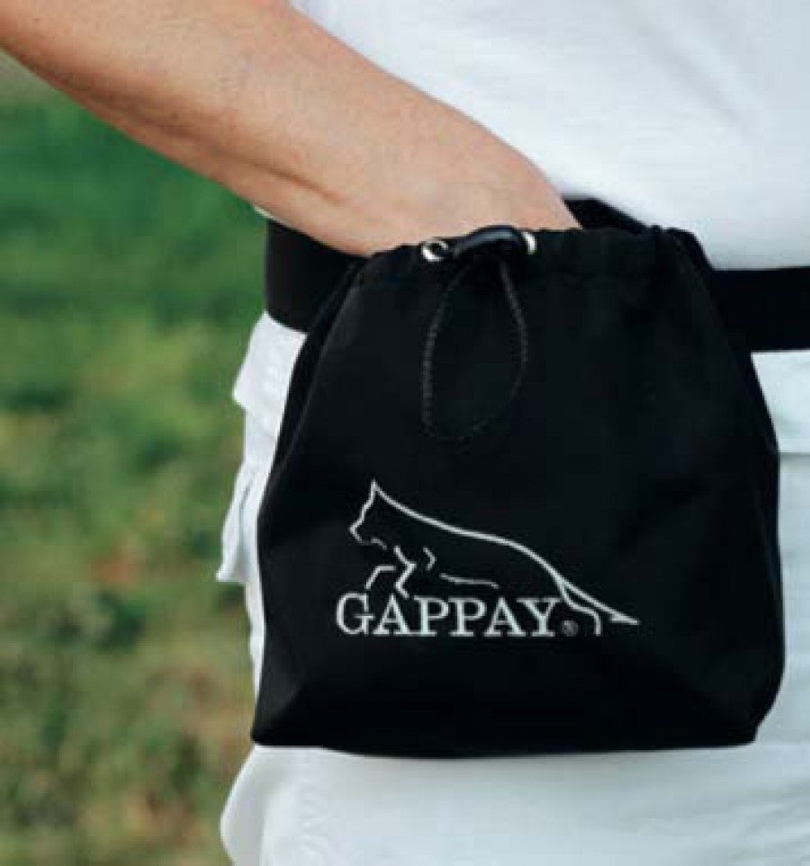 Gappay Reward Pouch With Belt Strap And Drawstring