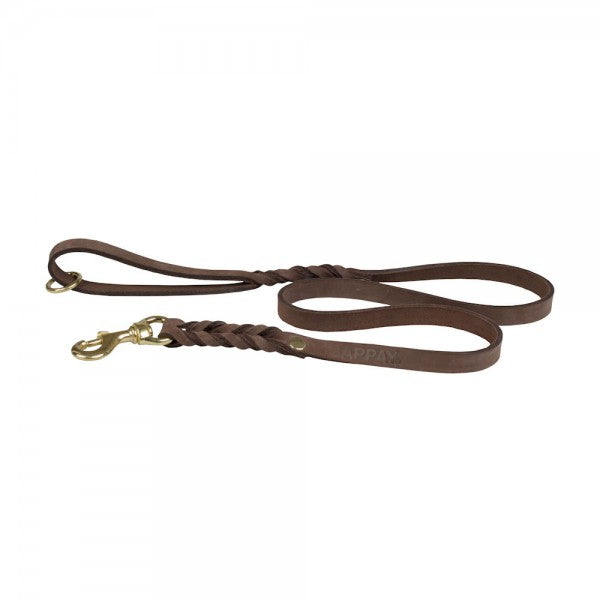 Gappay 4' Leather Leash