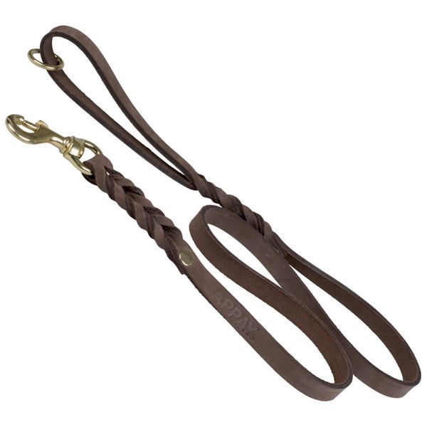 Gappay 4' Leather Leash