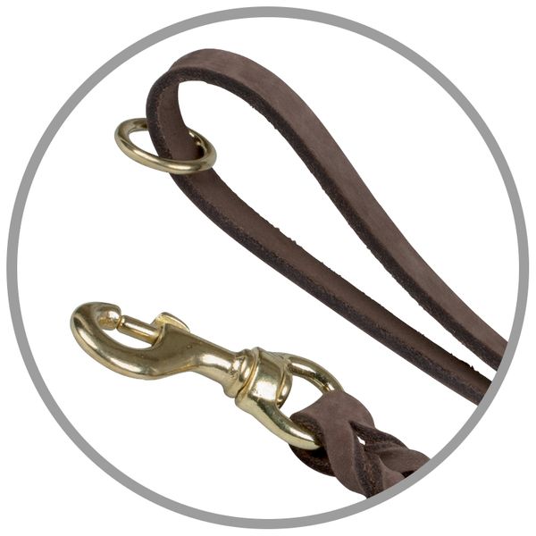 Gappay Leather 6' Leash