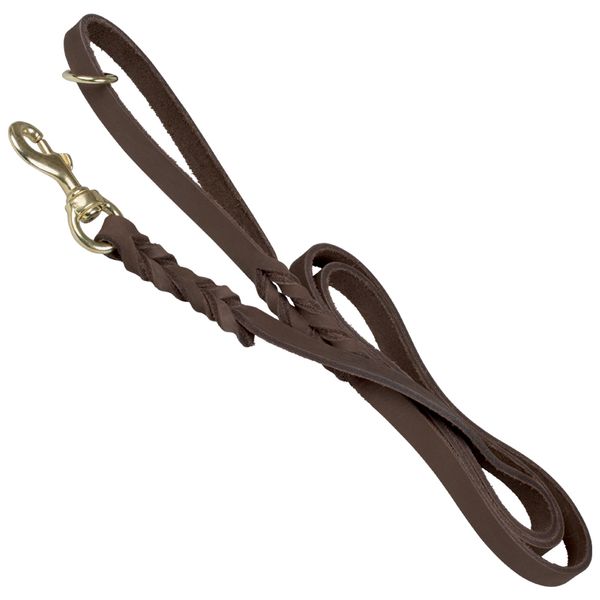Gappay Leather 6' Leash
