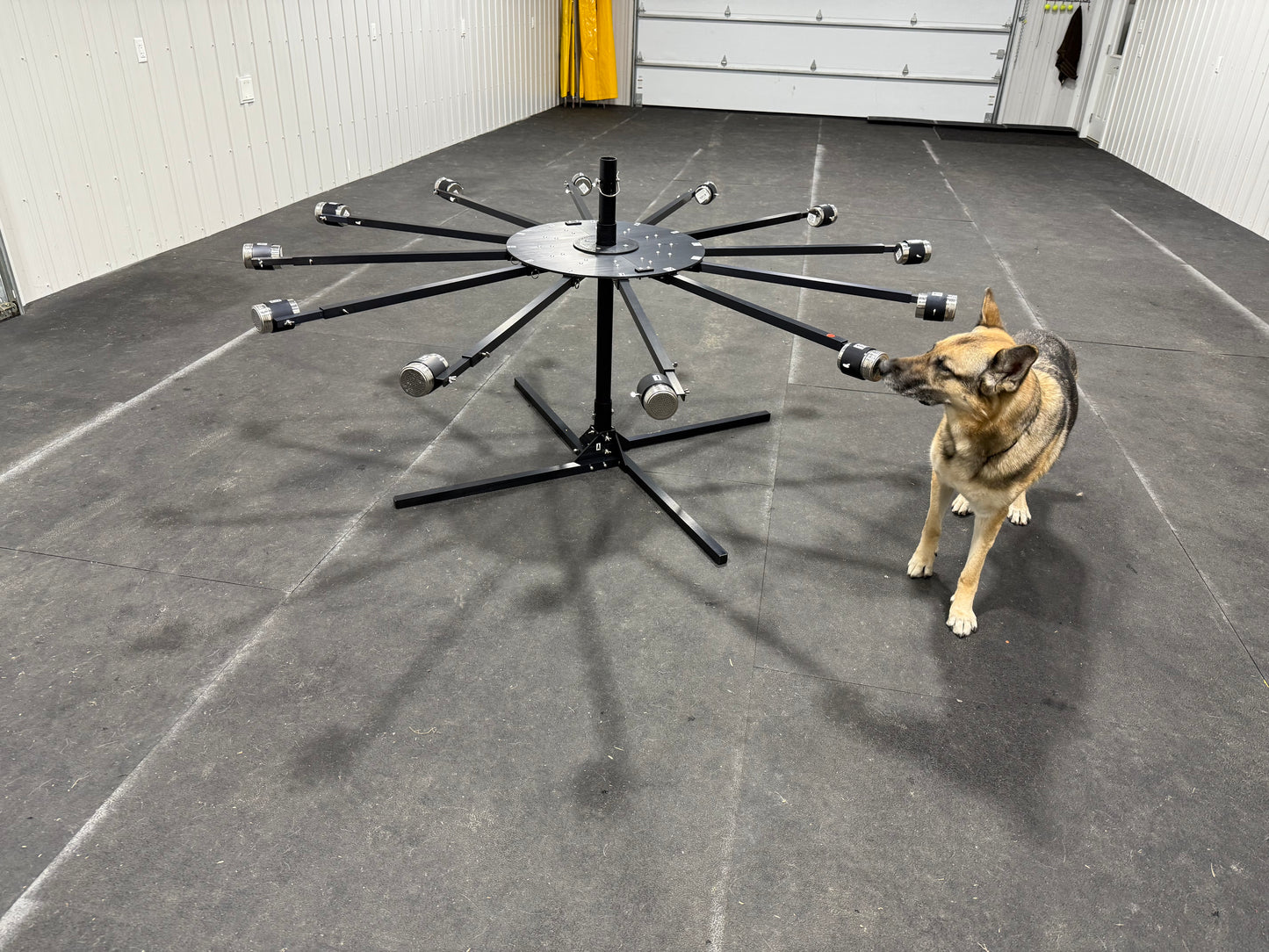 Foxfield K9 Scent Wheel