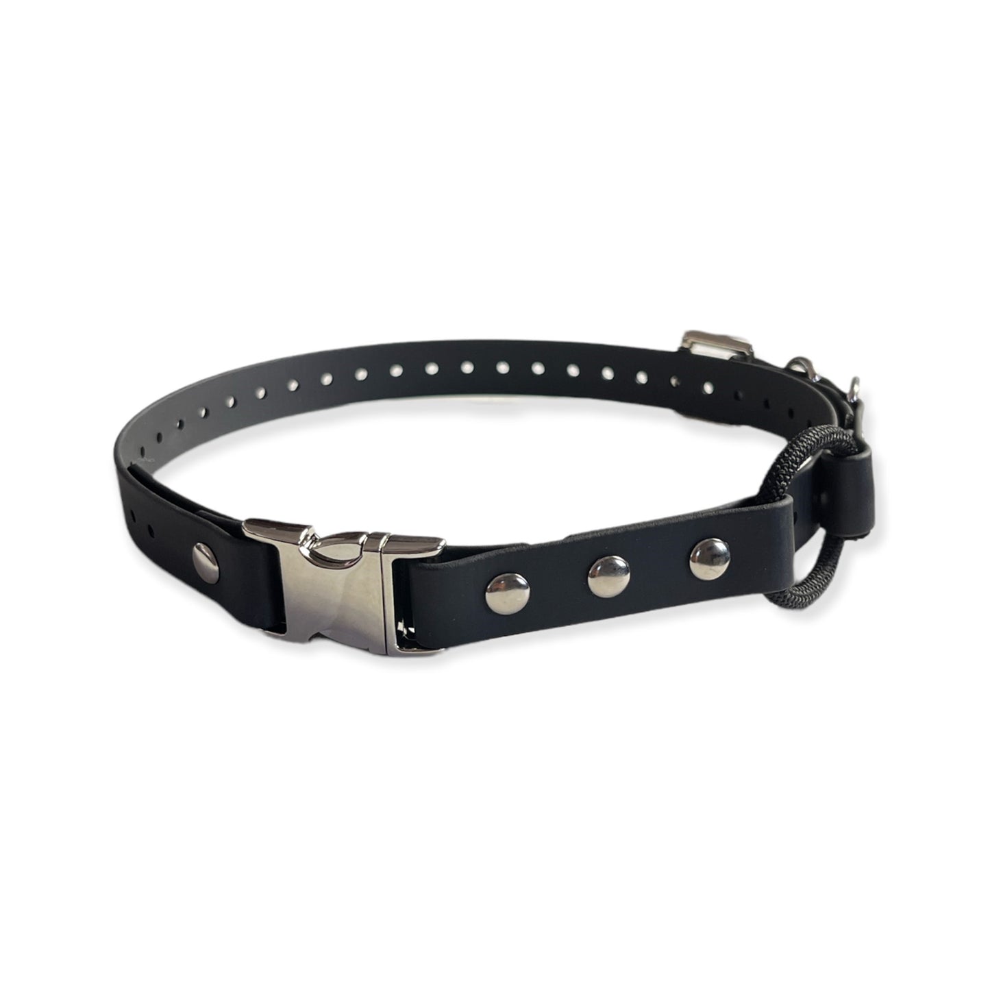 E-Collar Technologies 3/4" Quick Snap Bungee Collar