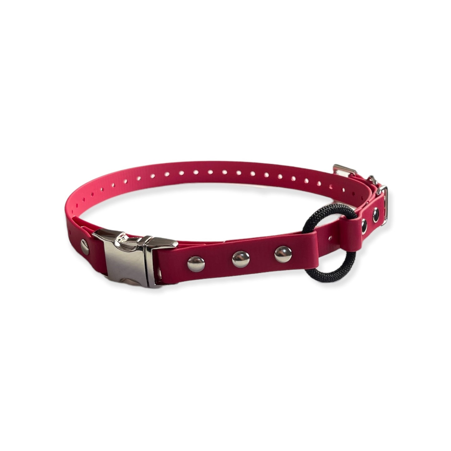 E-Collar Technologies 3/4" Quick Snap Bungee Collar