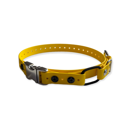 E-Collar Technologies 3/4" Quick Snap Mini Bungee Collar for Small Dogs