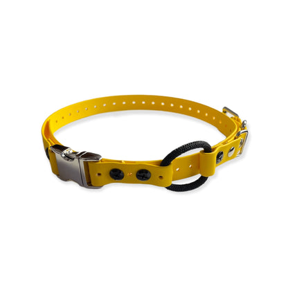 E-Collar Technologies 3/4" Quick Snap Bungee Collar