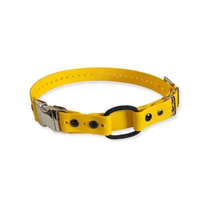 E-Collar Technologies 1" Quick Snap Bungee Collar (33" Length)