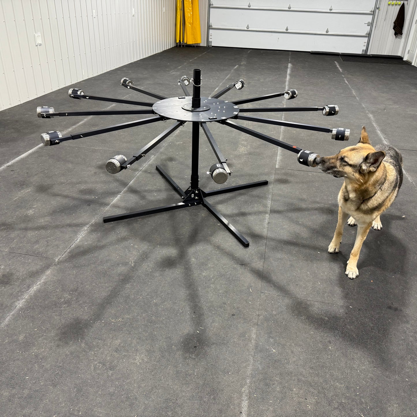 Foxfield K9 12 Arm Scent Wheel