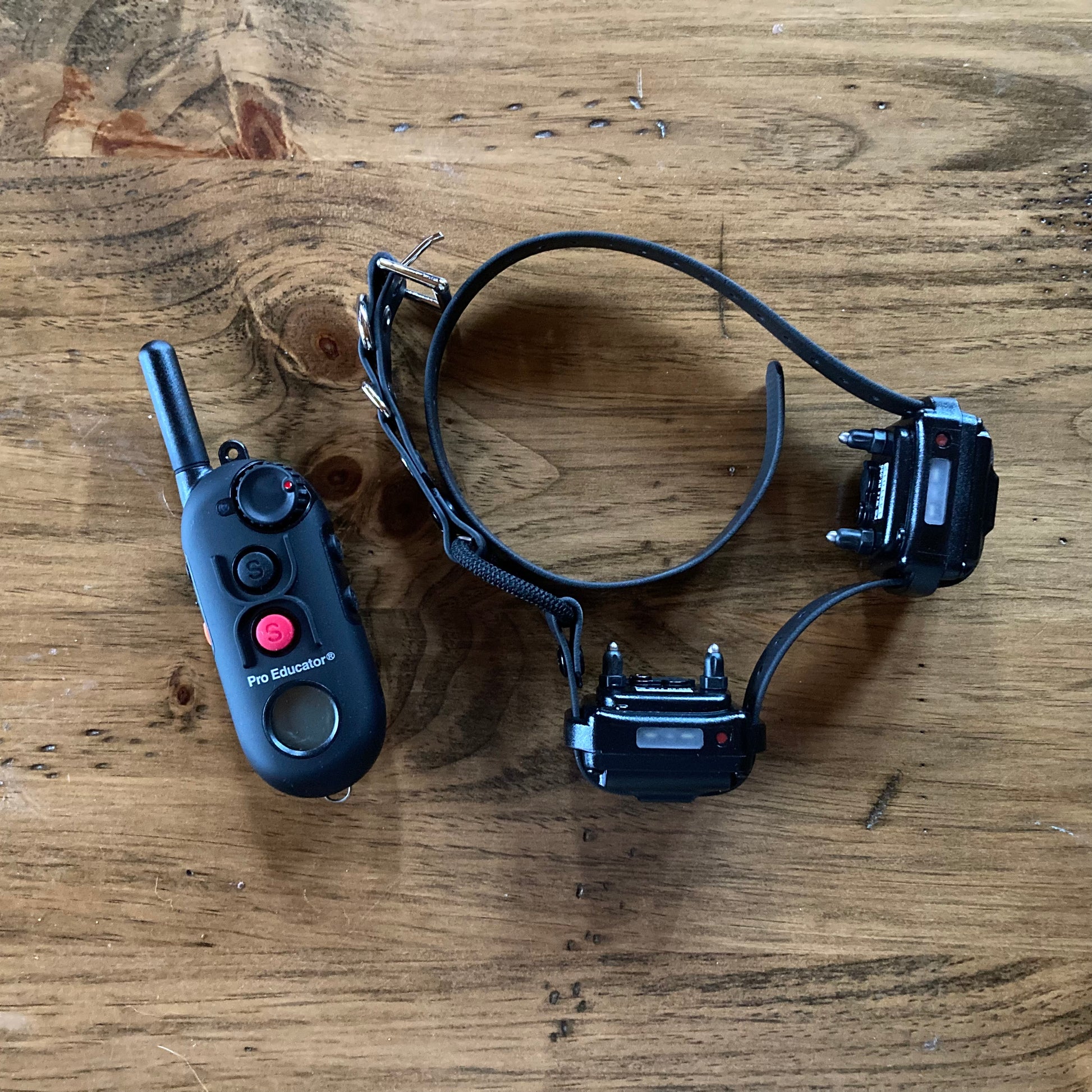 Pro educator collar online