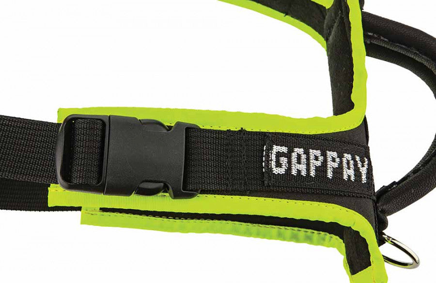 Gappay Puppy Harness