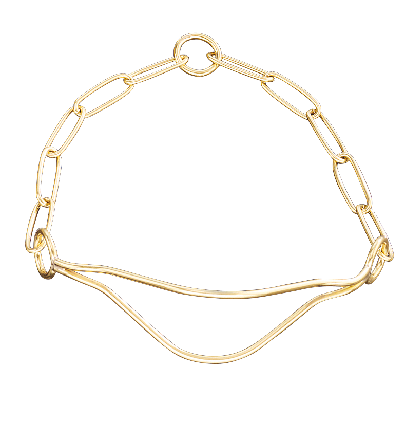 Sprenger Show Collar - Polished Brass II