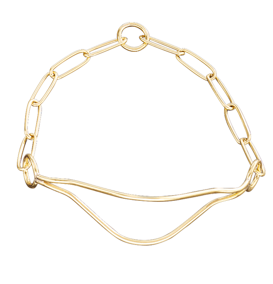 Sprenger Show Collar - Polished Brass II