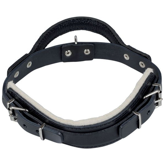 Gappay Leather Protection Collar With Handle - Large
