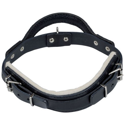 Gappay Leather Protection Collar With Handle - Medium