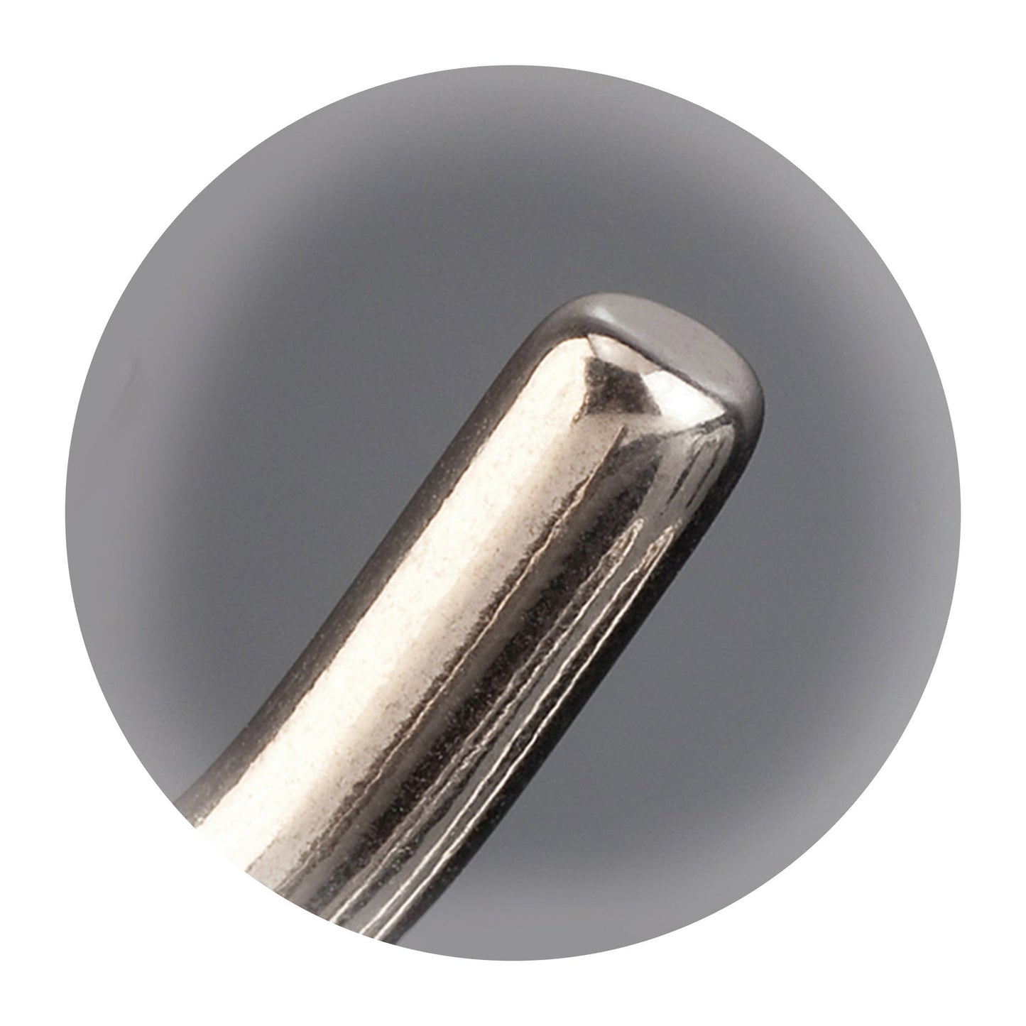 Sprenger Prong Collar W/ Ultra-Plus & Cliclock - Stainless Steel II